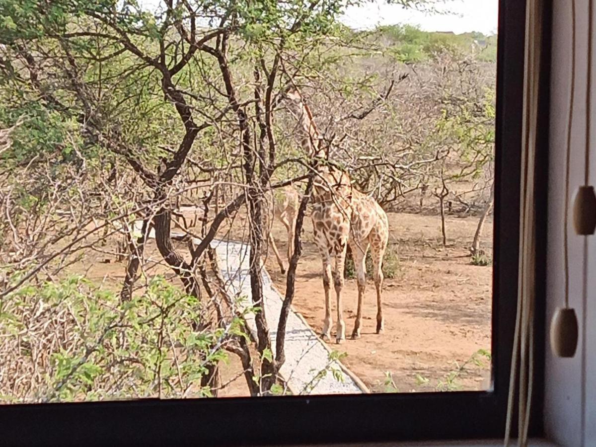 Apartmán Marloth Kruger View Marloth Park Exteriér fotografie