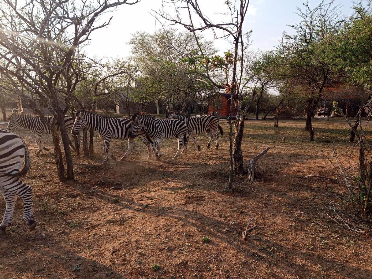 Apartmán Marloth Kruger View Marloth Park Exteriér fotografie