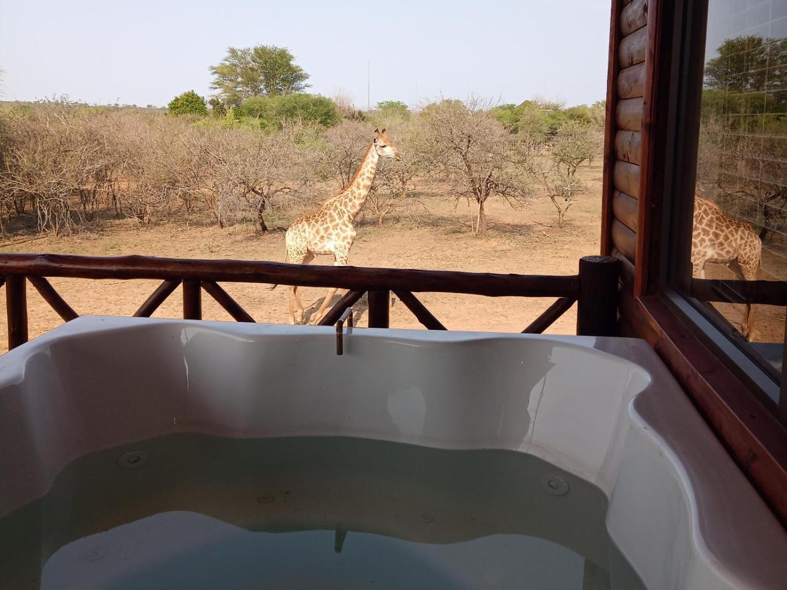 Apartmán Marloth Kruger View Marloth Park Exteriér fotografie