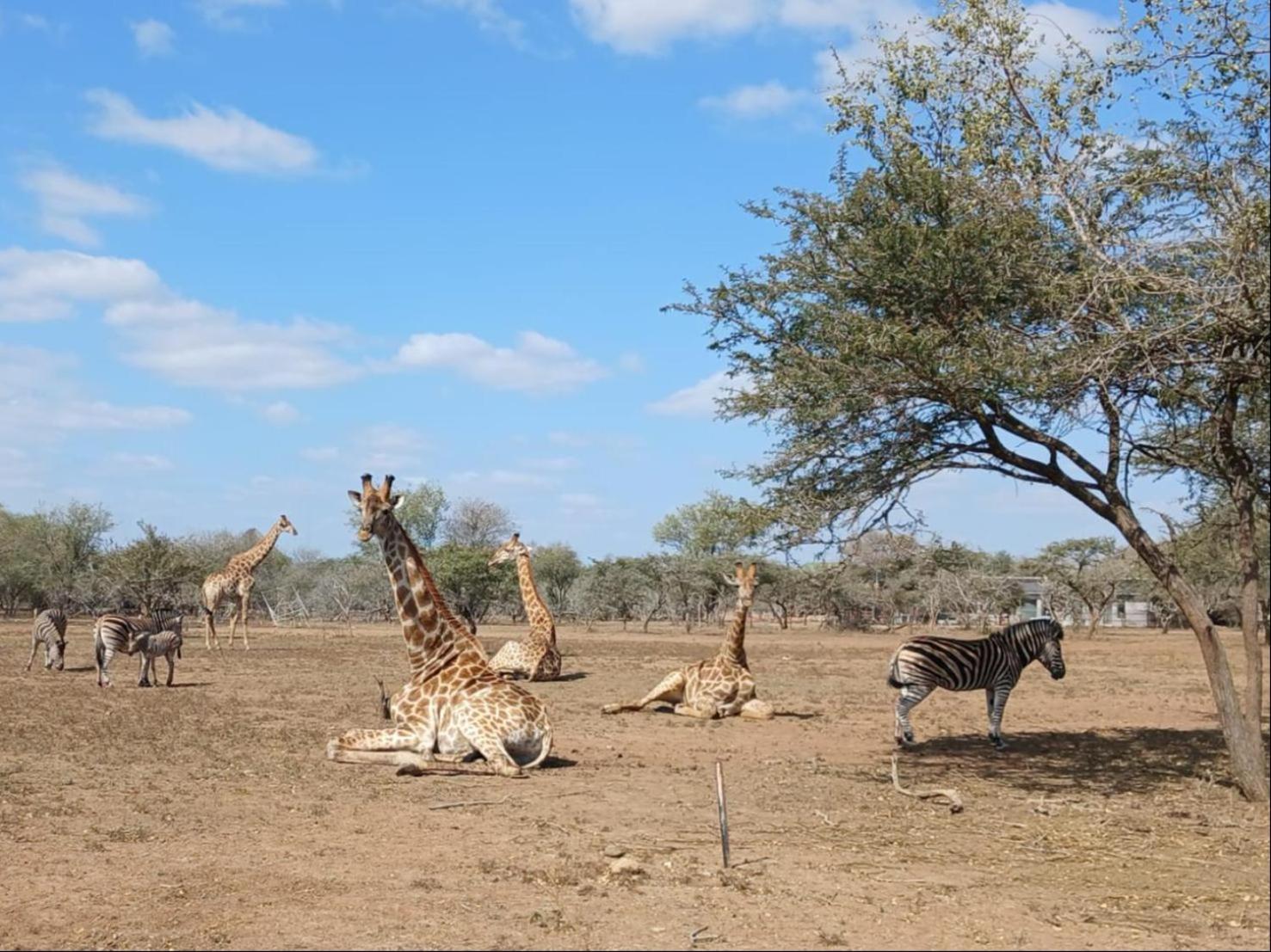 Apartmán Marloth Kruger View Marloth Park Exteriér fotografie